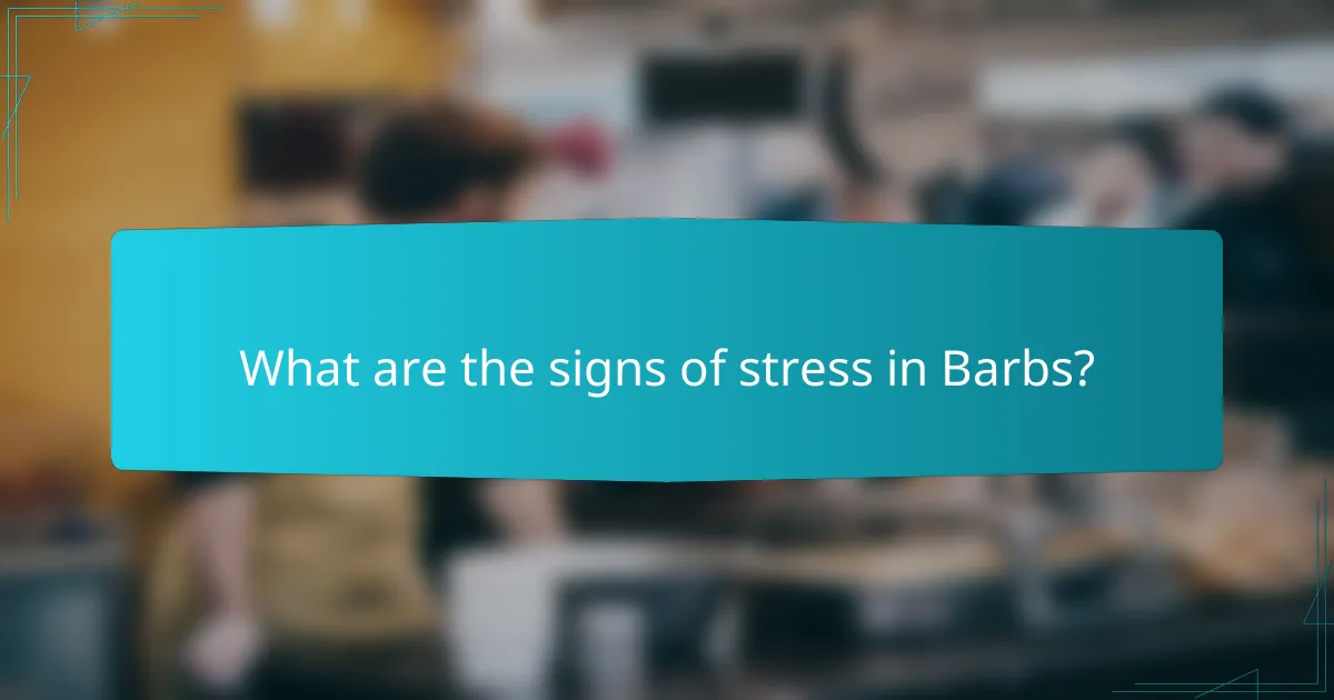 What are the signs of stress in Barbs?