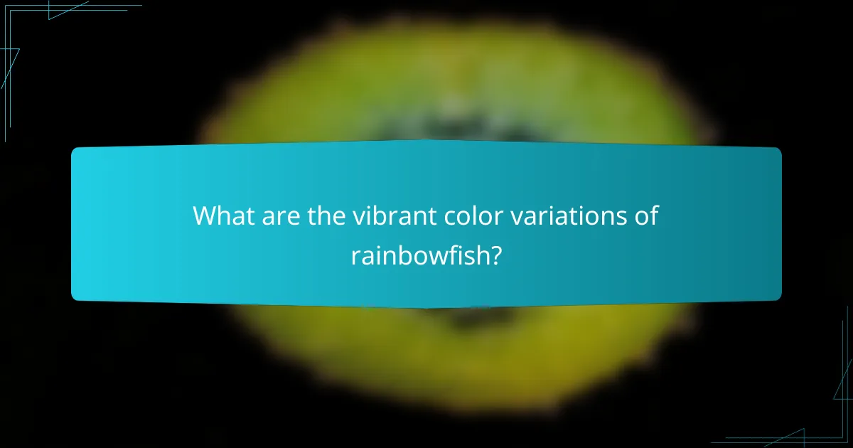What are the vibrant color variations of rainbowfish?