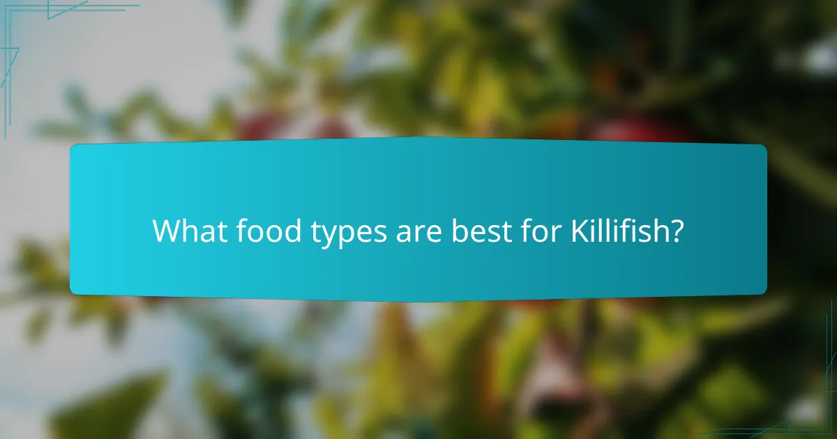 What food types are best for Killifish?