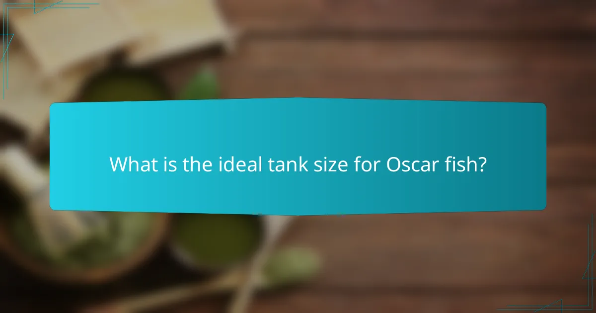 What is the ideal tank size for Oscar fish?