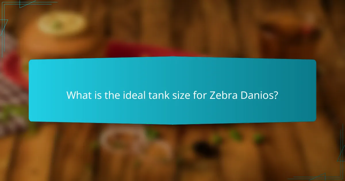 What is the ideal tank size for Zebra Danios?