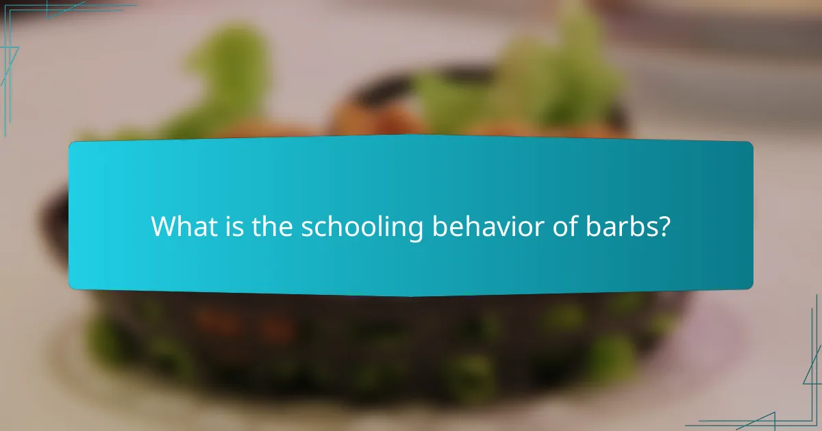 What is the schooling behavior of barbs?
