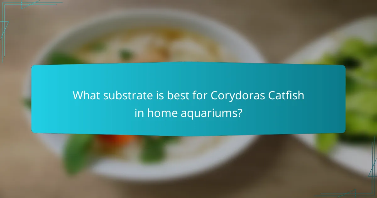 What substrate is best for Corydoras Catfish in home aquariums?