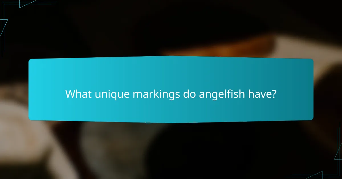 What unique markings do angelfish have?