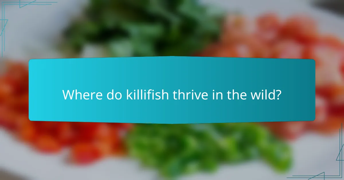 Where do killifish thrive in the wild?