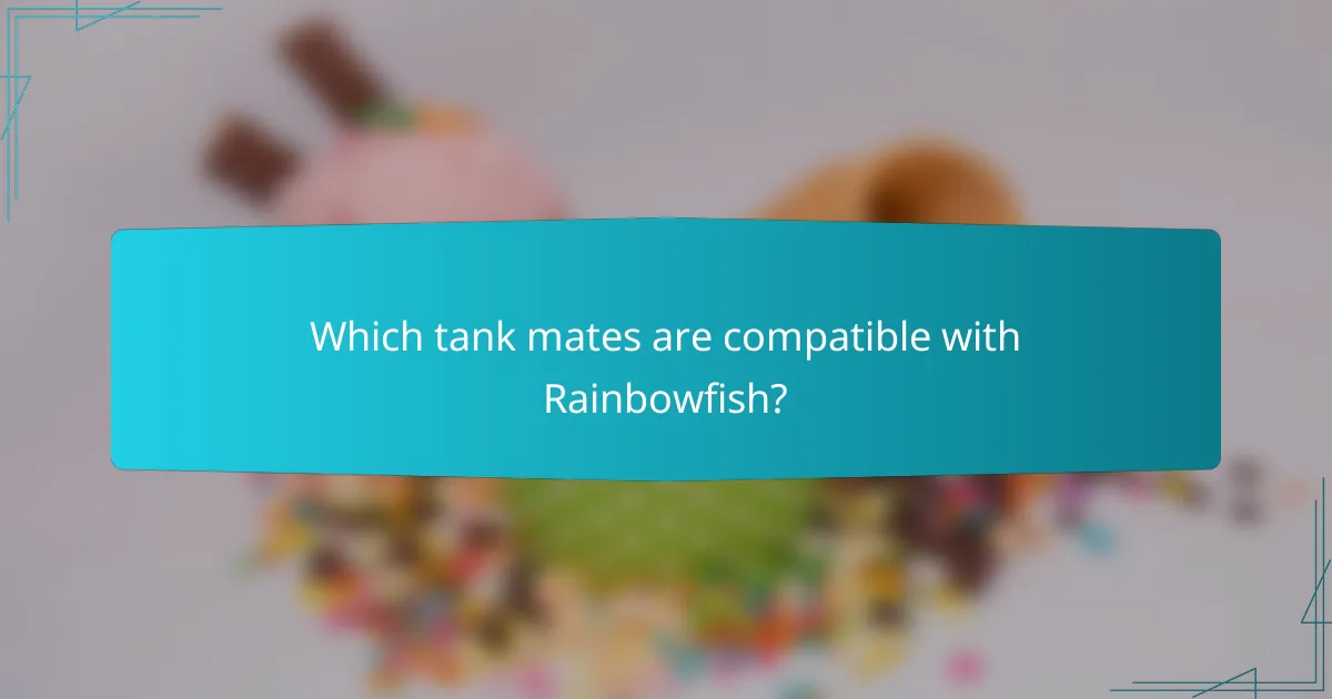 Which tank mates are compatible with Rainbowfish?